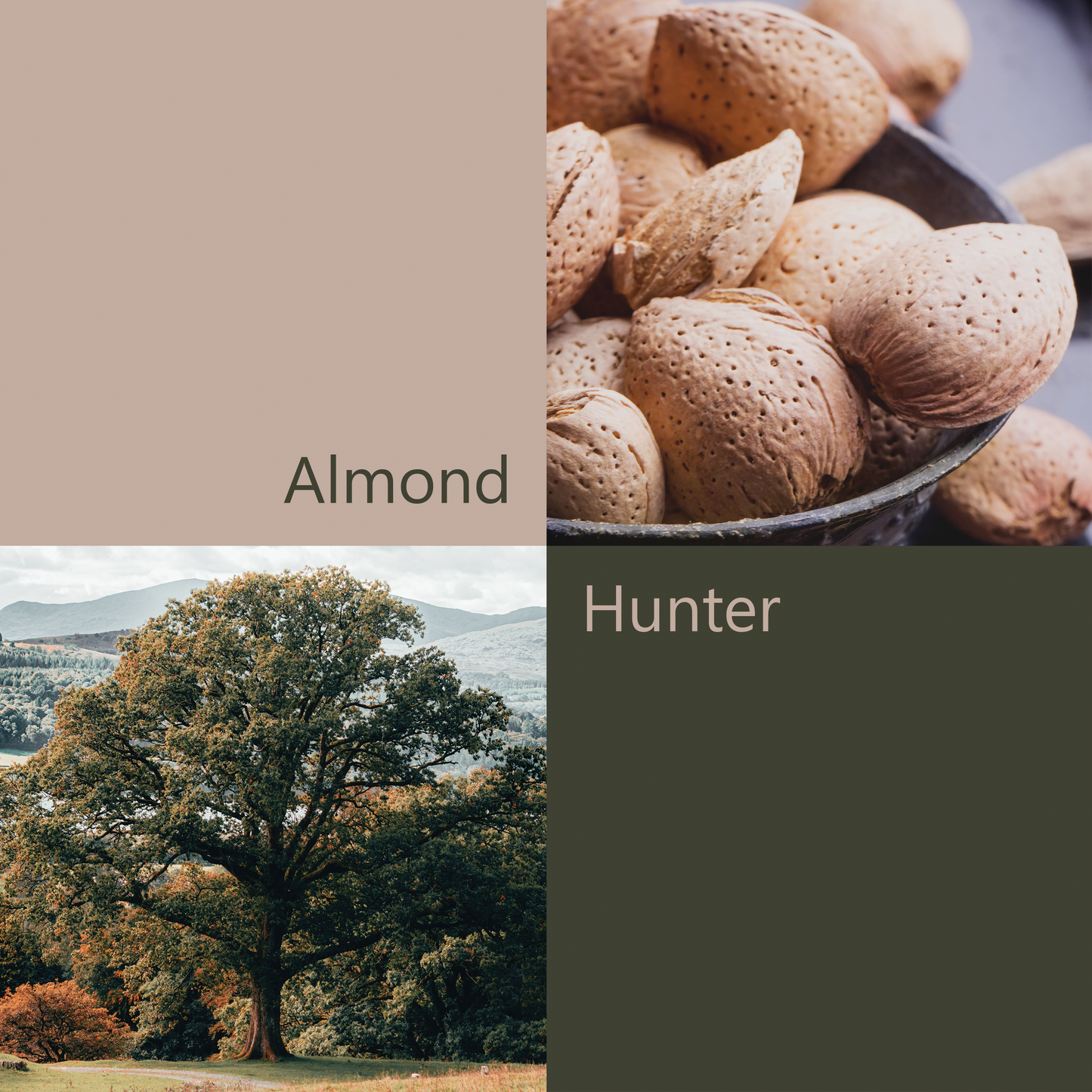 'Through the Farmyard' Silk Scarf; Almond & Hunter, 650x650mm