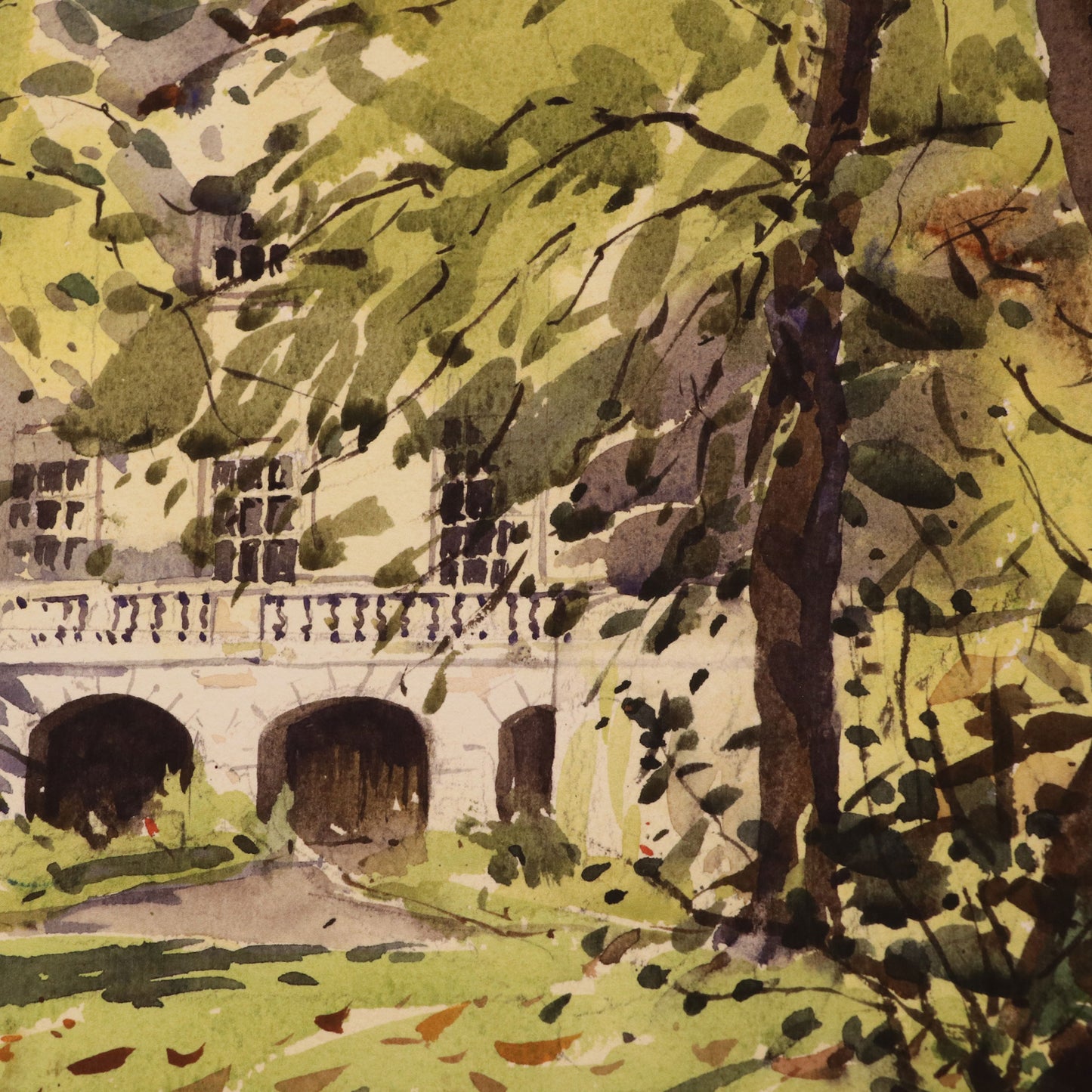'A Leafy Approach' Fine Art Print