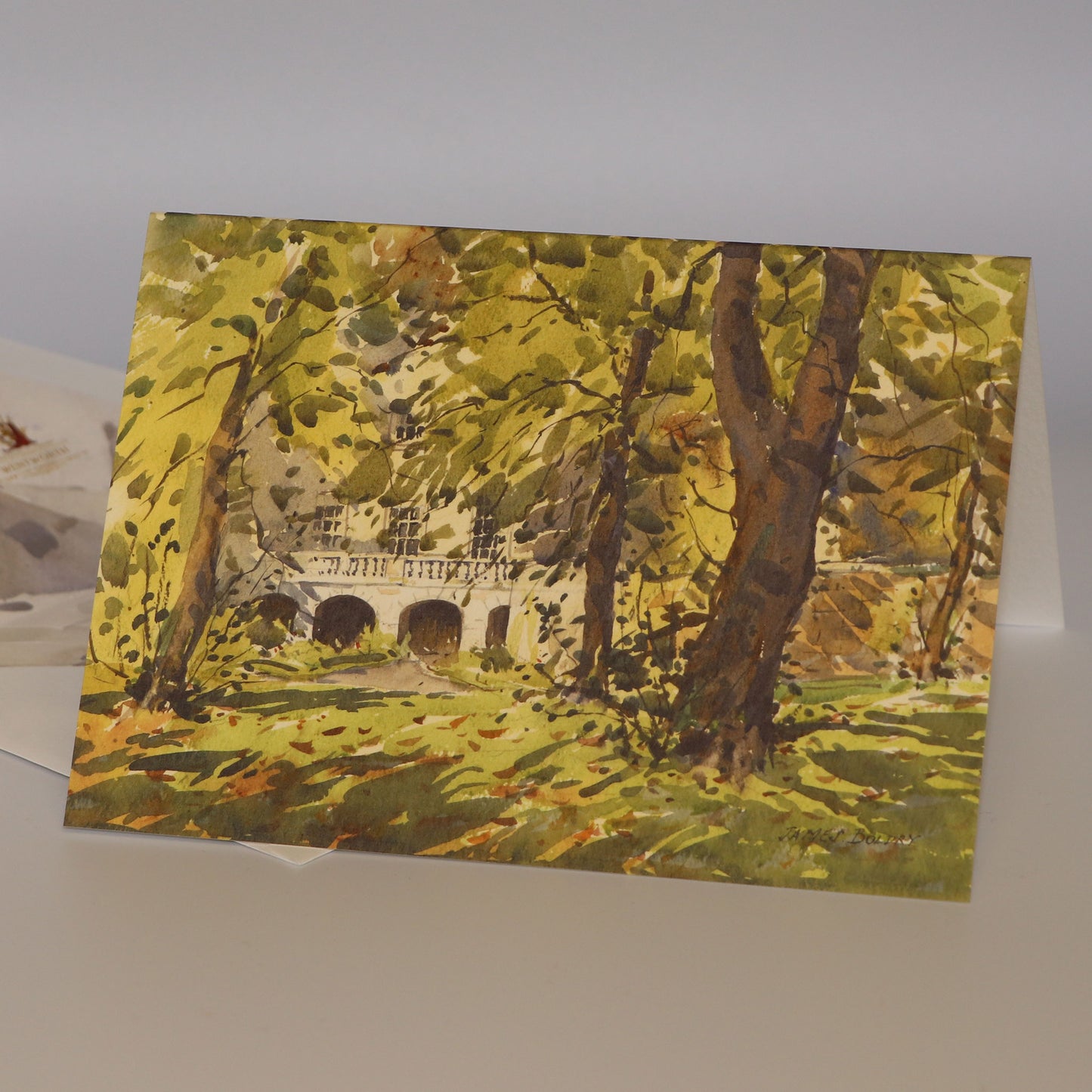 'A Leafy Approach' Fine Art Greetings Card