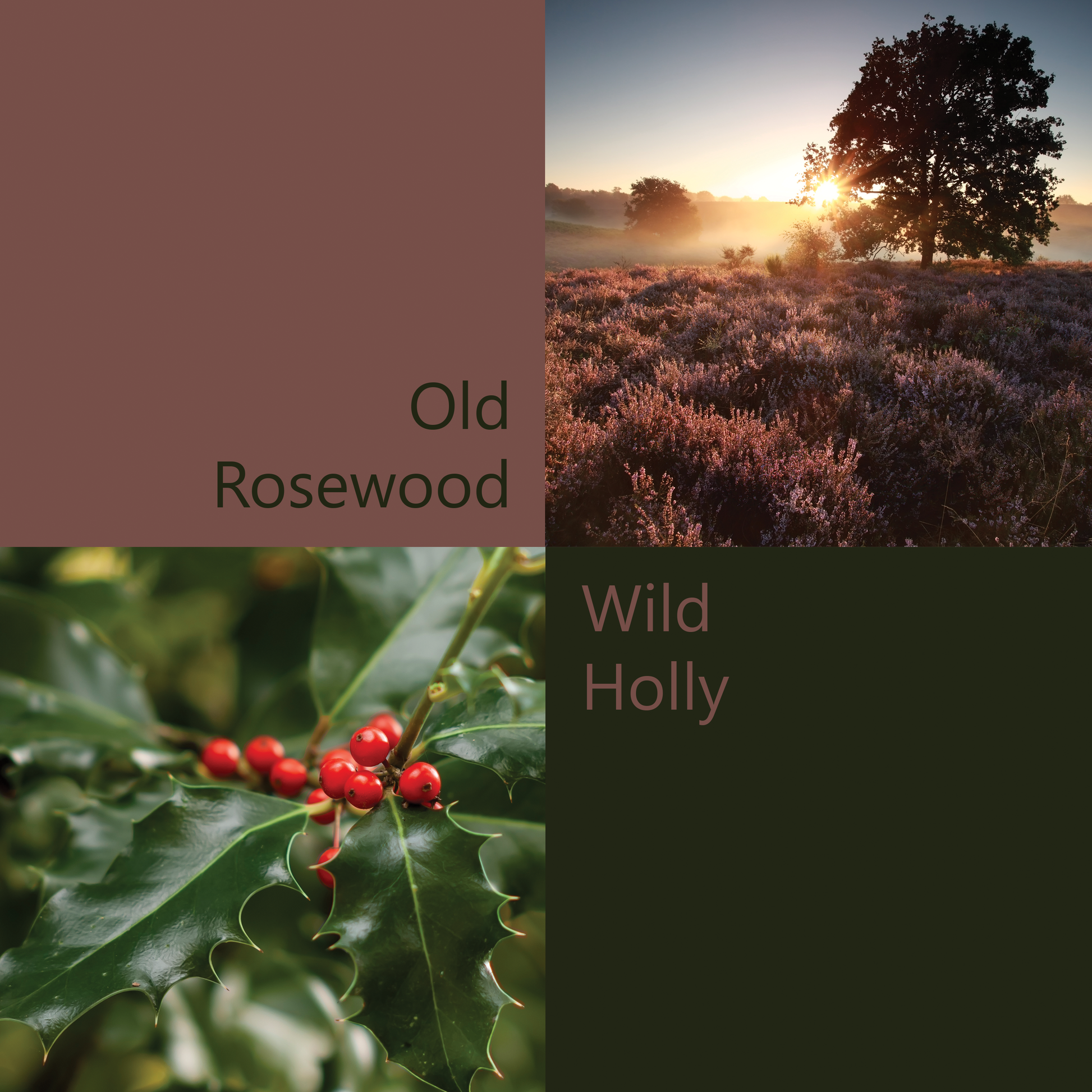 Colour palette for Blooms of Autumn, Old Rosewood and Wild Holly