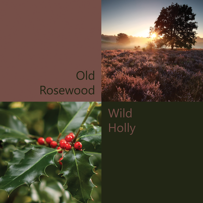 Colour palette for Blooms of Autumn, Old Rosewood and Wild Holly