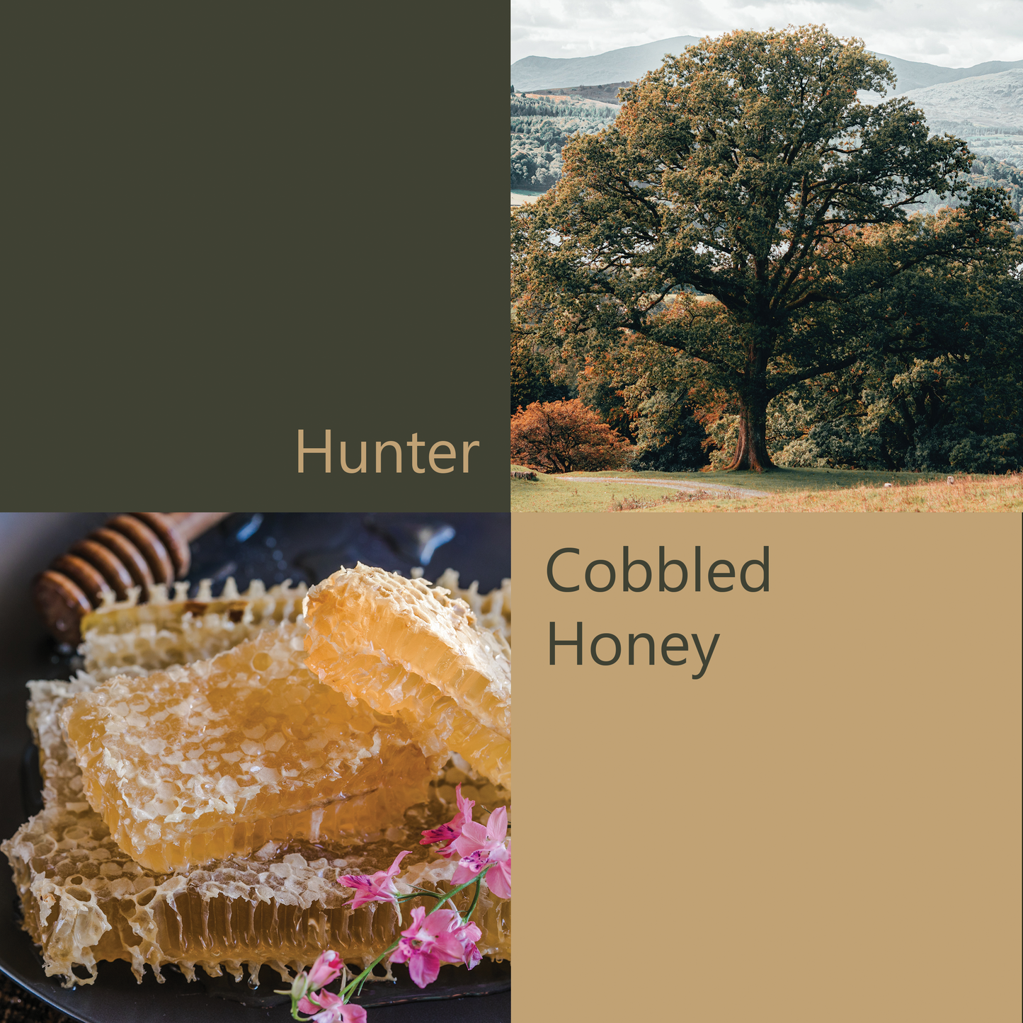 Colour palette for By the Castle Gate Silk scarf in hunter and cobbled honey | Silk Scarf | Wentworth of Yorkshire