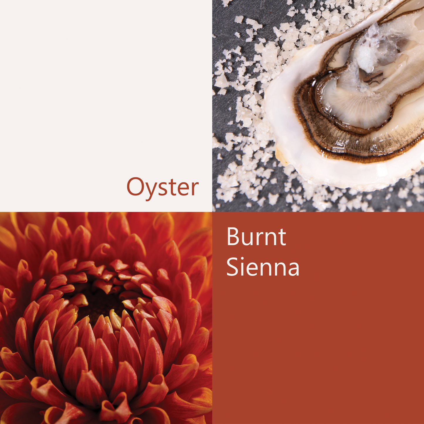 'Down by the Boatyard' Silk Scarf: Oyster & Burnt Sienna, 900x900mm