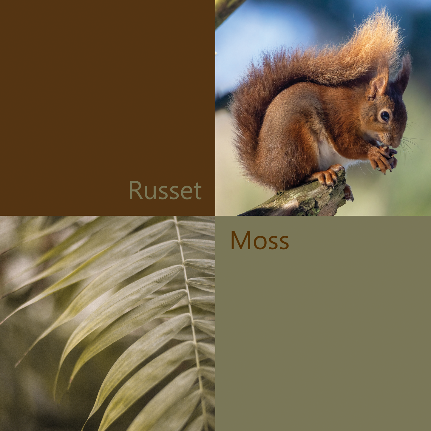 'The Work of the Scythe' Silk Scarf: Russet & Moss